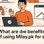 What Are the Benefits of Using Milay.pk for Sellers