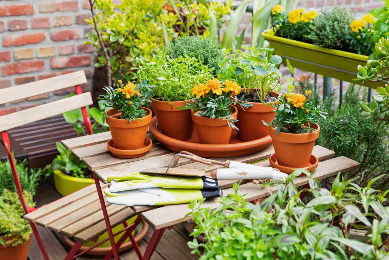 Top Outdoor Decor Ideas for a Beautiful Garden
