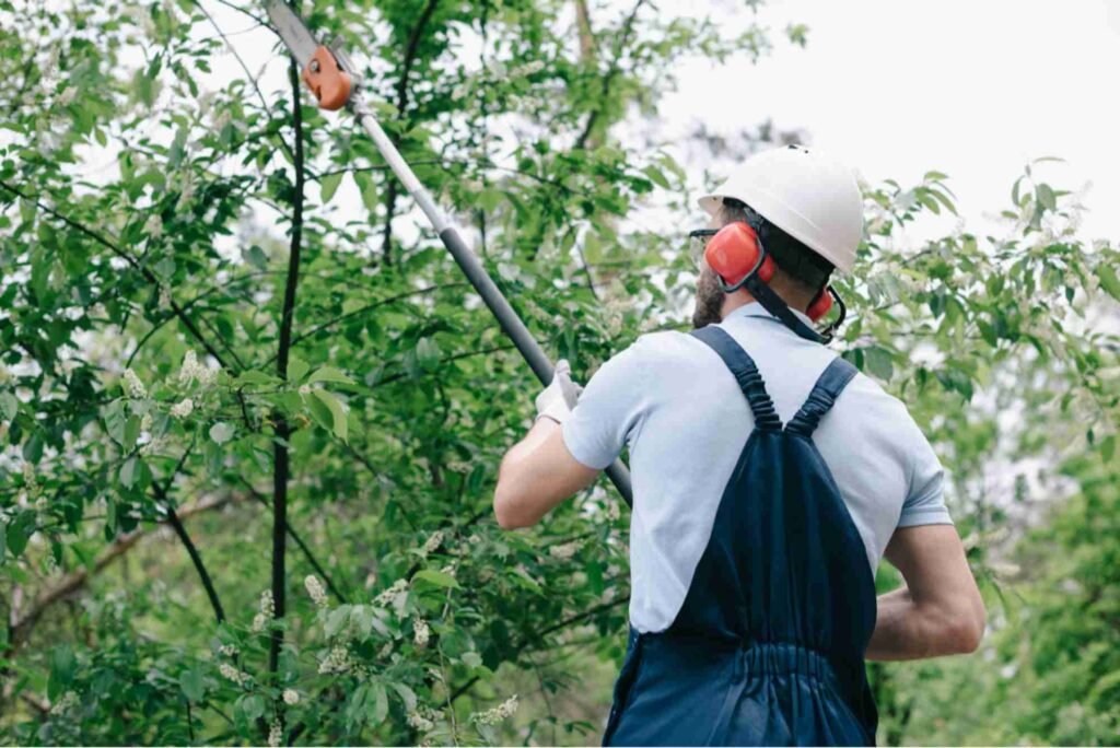 Ornamental Pruning in Cook County, IL