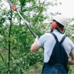 Ornamental Pruning in Cook County, IL