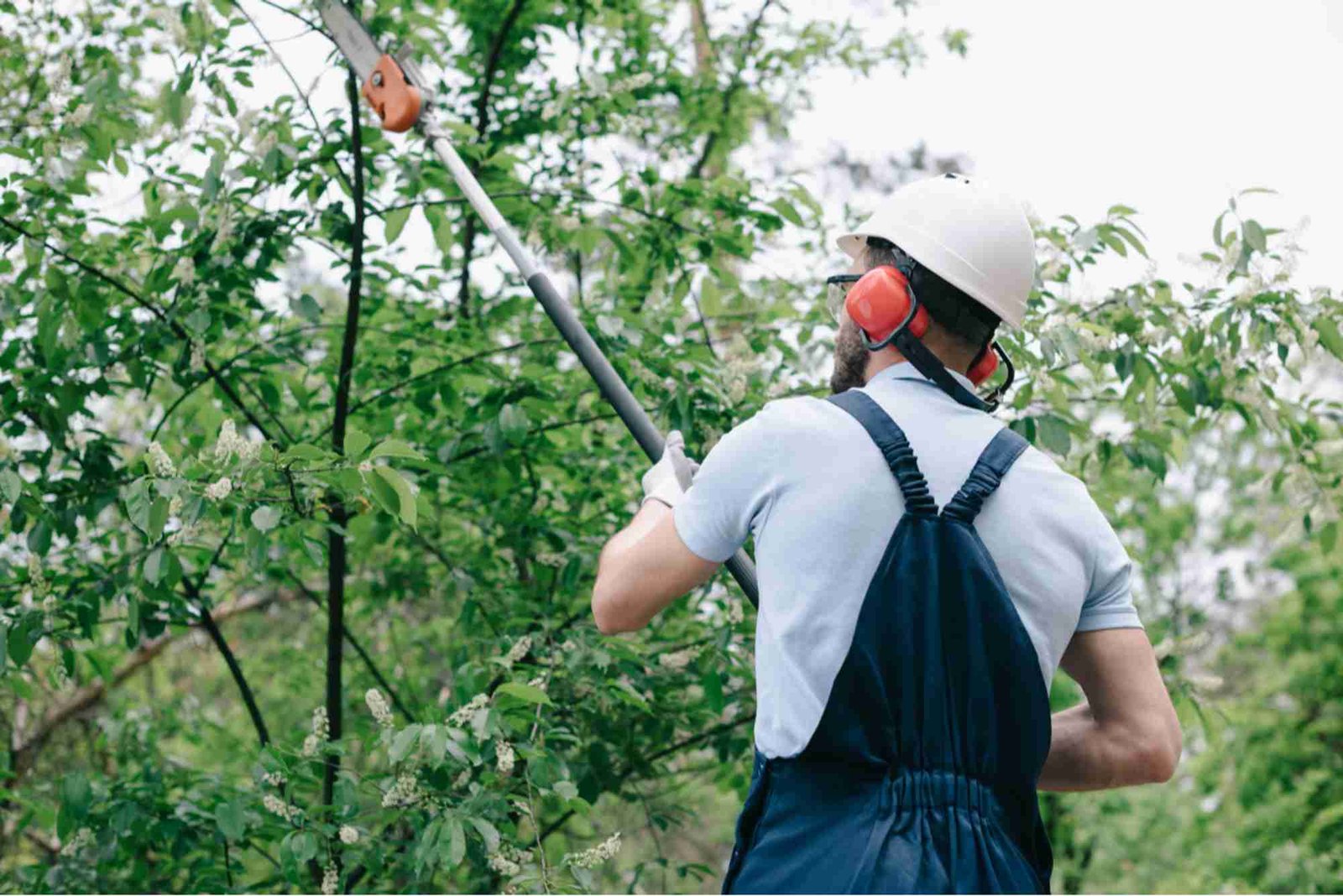 Ornamental Pruning in Cook County, IL