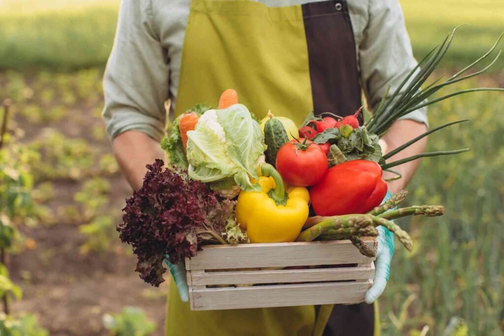 Top Organic Food Benefits for Better Health