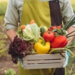 Top Organic Food Benefits for Better Health
