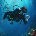 Why Marsa Alam Should Be Your Next Dive Destination in Egypt